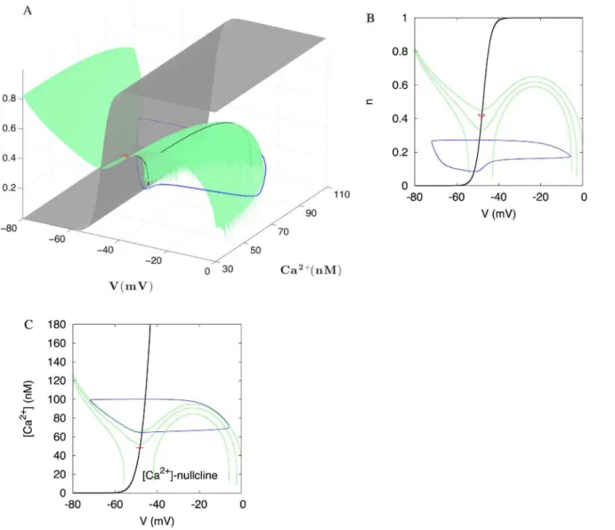 Figure 12. Three-dimensional structure of the model allows for complex modes and bistability
