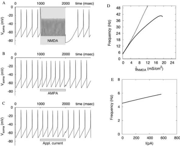 Figure 7. Typical responses of the one-compartmental model to NMDA, AMPA receptor stimulation and somatic depolarization are very close to those of the reconstructed morphology