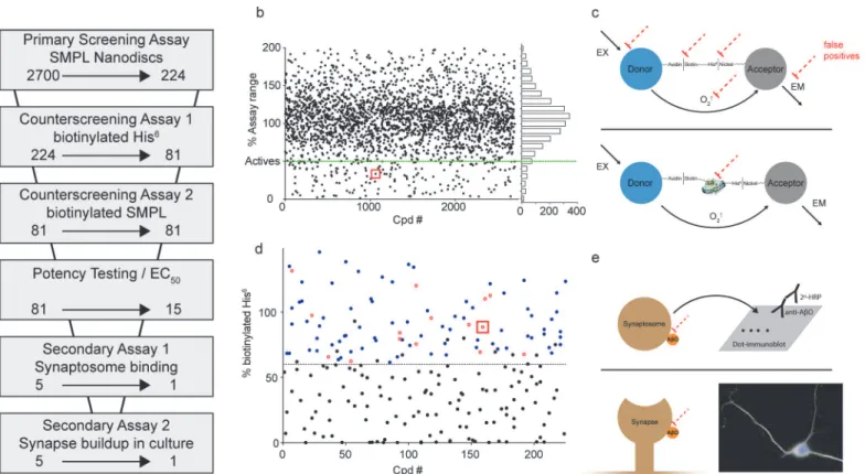 Fig 6. Screening strategy effectively eliminates false positives. (a) Screening assays used to evaluate the effect of Spectrum Collection molecules on AβO binding