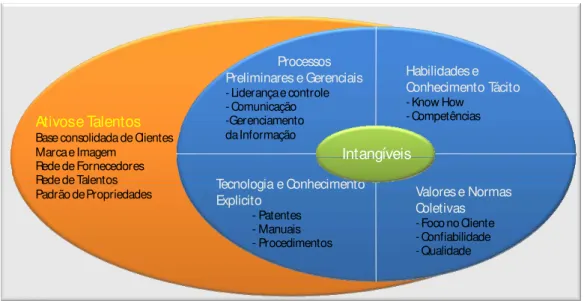 Figura 17 Andriessen &amp; Tissen’s Intangible Capital Framework   Fonte: Marr &amp; Adams, 2004 