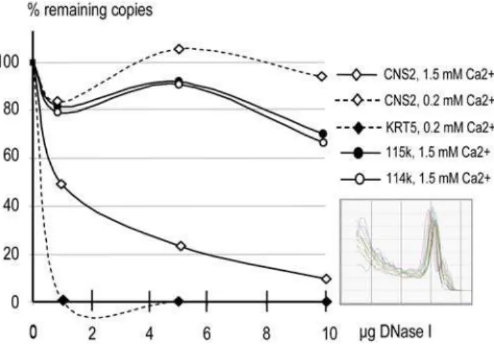 Figure 2. Hypersensitivity of the CNS2 to DNase I. The DNase I- I-digestion profiles of the CNS2 including PIE, the KRT5 gene promoter region, and the two segments 114k (a LINE repeat, nt 114-549-114655) and 115k (nt 115764–115778) located at the centromer