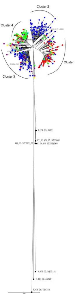Figure 1. Phylogenetic tree analysis of Chinese HIV-1 CRF01_AE gag gene sequences. The phylogenetic tree was constructed using neighbor-joining methods (Mega 4.0) for the gag region