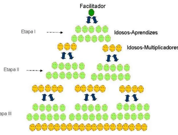 Figura 11. Dinâmica de multiplicação. 