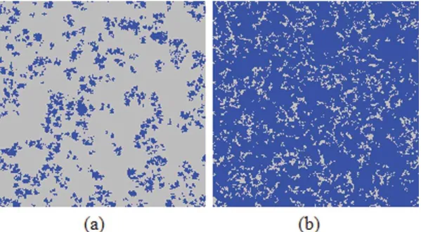 Figure 3. Time evolution of the clusters of cooperators on the square lattice. (a), (b) and (c) depict the distributions of individual strategies as recorded at 0, 20, 2000 steps, while (d) is an enlarged portion of (c) to show the final distributions of c