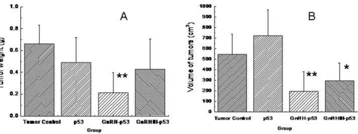 Figure  8.    The  selective  stabilization  of  p53  fusion  proteins  in  liver  tissues  and  tumor  tissues  of  mice  bearing tumors