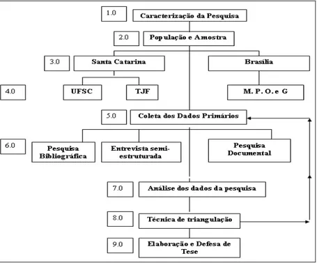 Figura 5: Fluxograma dos procedimentos e métodos da tese  Fonte: elaborado pelo autor 