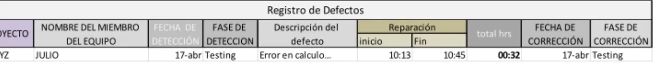 Figura 3 - Formato para registro de defectos 