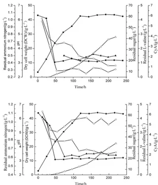 Fig. 3. Kinetics of cyclosporin A fermentation in 30 l-stirred bio- bio-reactor – control of the (NH 4 ) 2 HPO 4  content