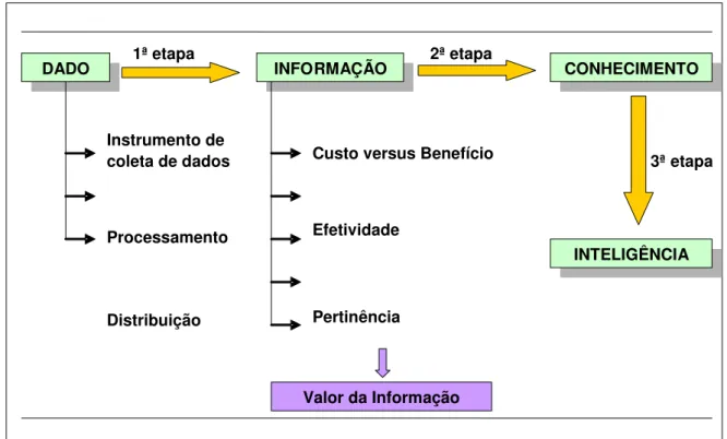 Figura 2: Etapas na geração do conhecimento e inteligência  Adaptado de: Souza, 2002. 