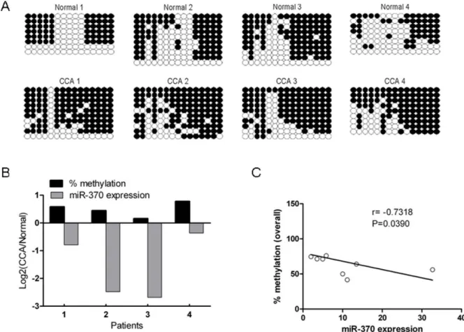 Figure 5 shows, in specimens CCA1 and CCA2, the ratio of miR- miR-370 DNA in tumor vs