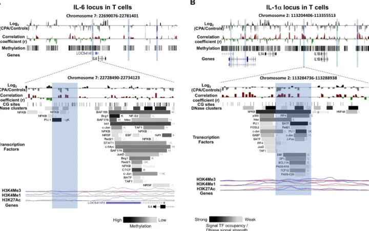 Figure 1. DNA methylation differences between CPA (n = 8) and control (n = 12) groups in pro-inflammatory cytokines IL-6 and IL-1a loci in T cells