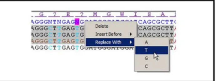 Fig 3. Sequences can be edited. Right clicking on the reference sequence (N) allows the full range of sequence modifications.