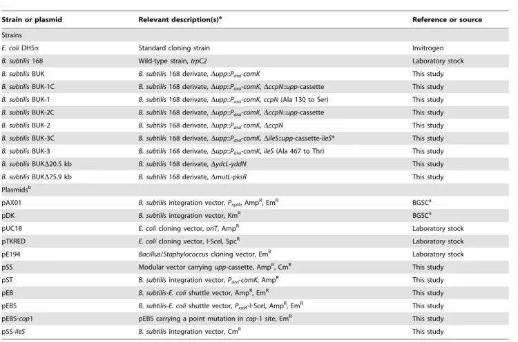 Figure 1. Plasmids for genetic modification in B. subtilis . (A) A modular cassette was cloned into pUC18 to generate pSS, the modular cassette contained chloramphenicol resistance gene (cat), UPRTase encoding gene (upp) and the recognition site of I-SceI 