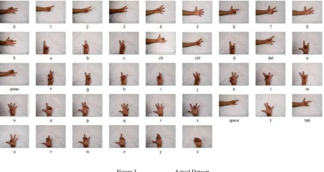 Figure 3.   Actual Dataset 