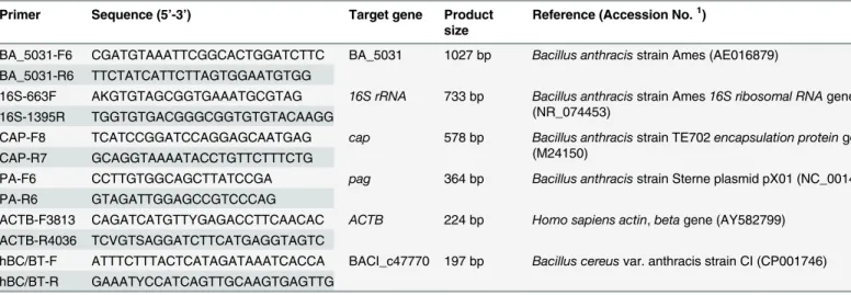 Table 4. Primers used in this study.
