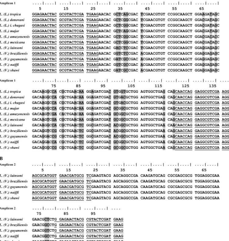 Fig 1. Nucleotide sequence of hsp70 amplicons and primer localization. Alignment of the nucleotide sequence of amplicon 1 (A) and amplicon 2 (B) of each Leishmania species used in the HRM analysis