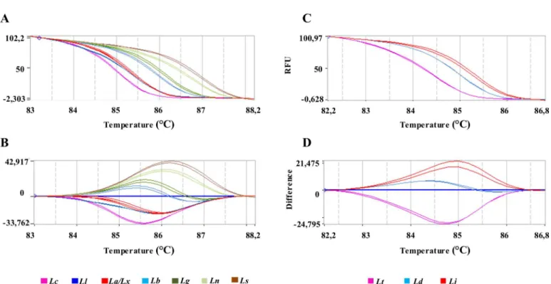 Fig 3. HRM plots of hsp70 amplicon 1. Representative melting profiles of hsp70 amplicon 1 obtained with DNA from Leishmania species present in Brazil (A, B) or DNA from Leishmania species of Eurasia and Africa (C, D)