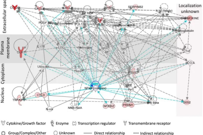Fig 3. Top network of Vk2 PIC/NIC discriminatory genes generated by Ingenuity Pathway Analysis