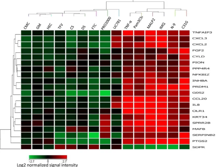 Fig 6. Transcription profile of the 20 discriminatory genes expression in Vk2 cells exposed to candidate microbicides and selected PICs and NICs.
