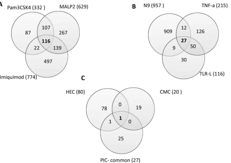 Fig 1. Diagrams showing the number of significantly altered probesets indentified by microarray gene profiling of Vk2 cells exposed to PIC and NIC