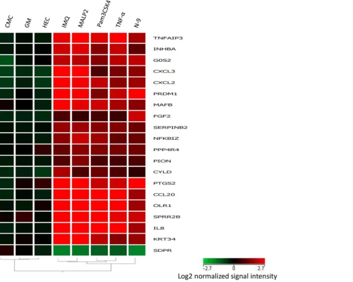 Fig 2. Hierarchical clustering of the 20 discriminatory genes was performed using GeneSpring 11.5 as described in Materials and Methods.