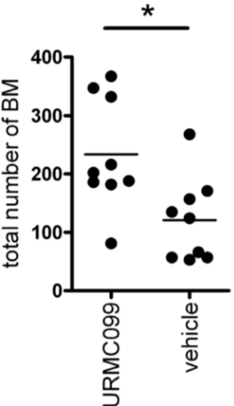 Figure 4. Total number of brain metastases is not reduced in mice treated with URMC099