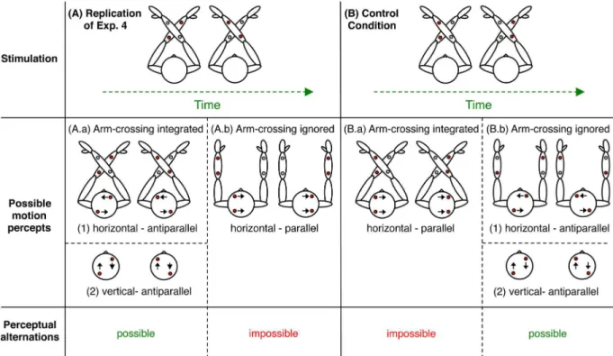 Fig 5. Tactile stimulation modes and possible motion percepts. Top: the representation of the two different tactile SAM stimulation modes from Experiments 4 and 5