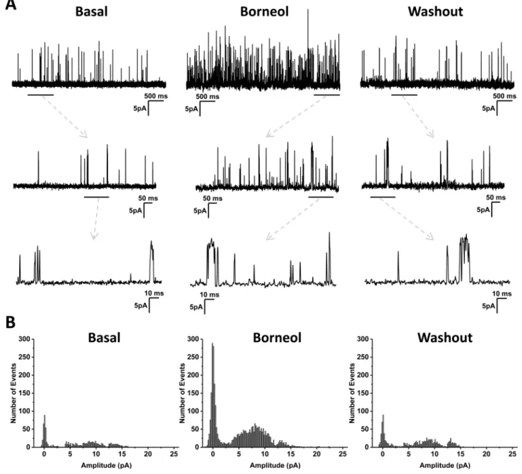 Fig 3. Effect of borneol on TRPM8 currents in transfected HEK293 cells recorded under inside-out configuration