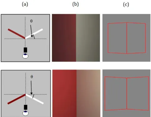 Figure 3a shows mean shape settings for four naı¨ve observers that only received a verbal explanation of the task before starting the experiment, and had no knowledge of the specific gradients in the stimuli