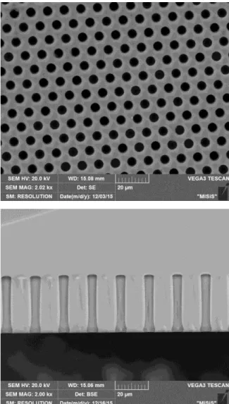 Fig. 3 – The  structures  of  cylindrical  holes,  received  with  cryogenic etching (up view on the left, split - on the right)