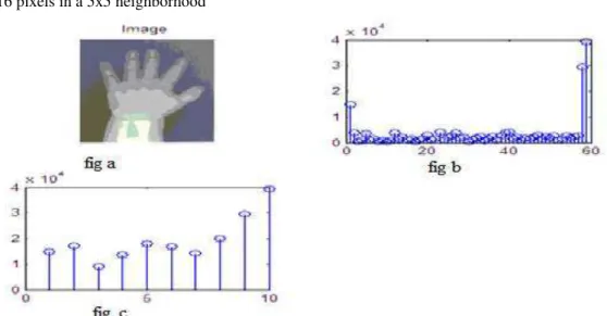 Figure 2.6: LBP results: a- Original Hand Image, b-Uniform Rotation Invariant Pattern Histogram , c-Uniform  Pattern Histogram 