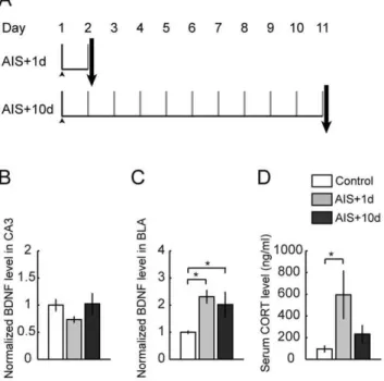 Figure 1C). Thus, these data indicate that similar to its differential effects on dendritic arborization, CIS also modulates BDNF levels in the area CA3 and BLA in contrasting fashion.
