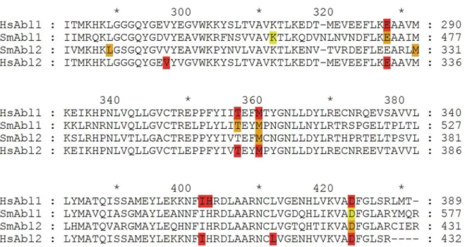 Figure 2. Alignment of the TK domains of human and schistosome Abl kinases. Alignment: Structural alignment of the binding sites of human (HsAbl1, HsAbl2) and S