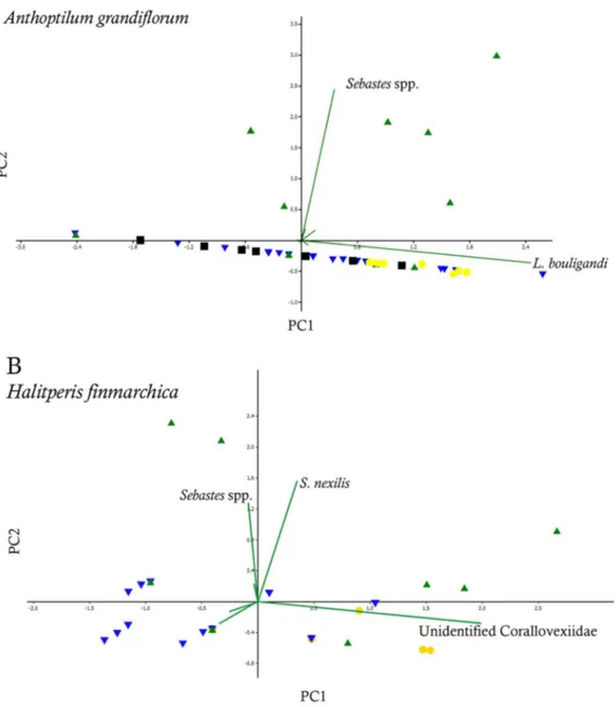 Figure 7. Principal component analyses and biplots based on the associated species of Anthoptilum grandiflorum (A, B) and Halipteris finmarchica (C, D)