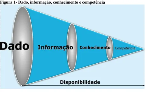 Figura 1- Dado, informação, conhecimento e competência 