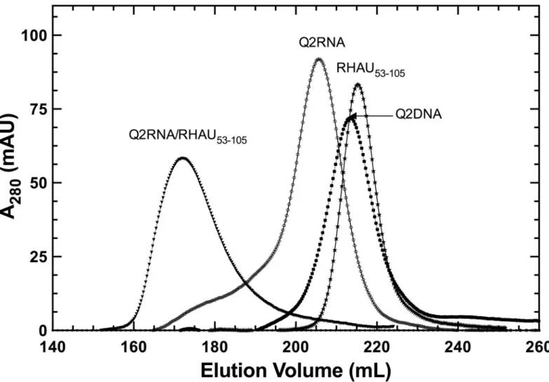 Fig 1. Purification of protein and nucleic acid components. Elution profiles obtained on a HiLoad Superdex 75 26/60 column, with each species labeled.