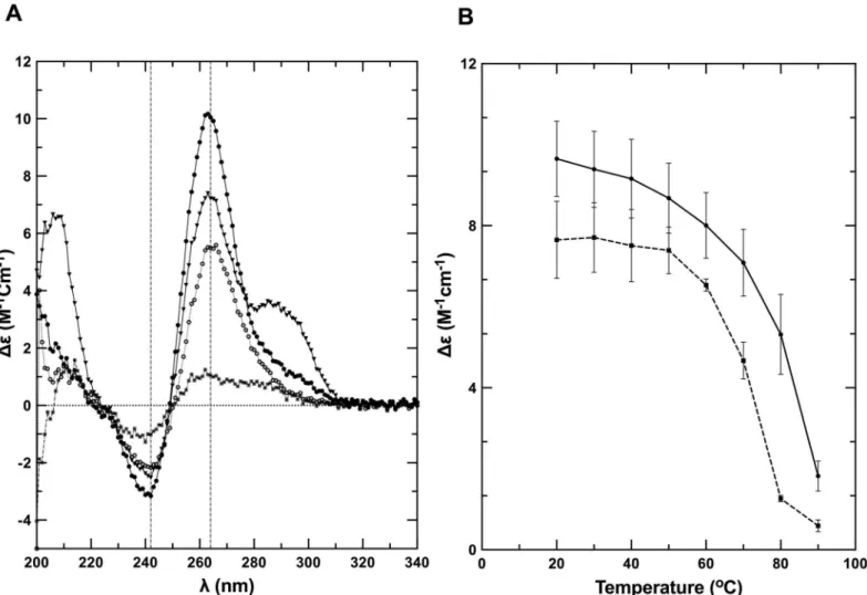 Fig 4. Q2RNA and its DNA counterpart adopt G4 structures. (A) Far-UV CD spectra of Q2RNA and Q2DNA obtained in 10 mM Tris, pH 7.5, 100 mM KCl, 1 mM EDTA buffer of Q2RNA at 20°C (closed circles) and at 80°C (open circles) as well as of Q2DNA at 20°C (closed