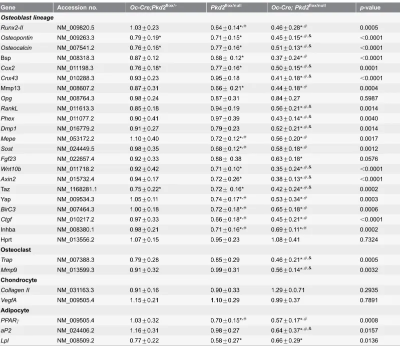 Table 2. Gene-expression profiles in bone in 6-week-old mice.