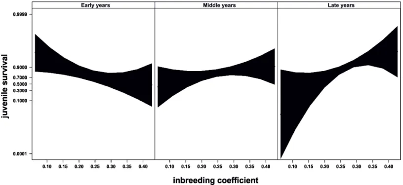 Fig 3. Evolution of juvenile survival through time. Relationship between inbreeding and juvenile survival through time