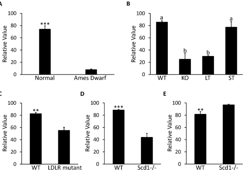 Fig 6. Expression profile in liver for MUP19 in microarray DataSets obtained from NCBI website