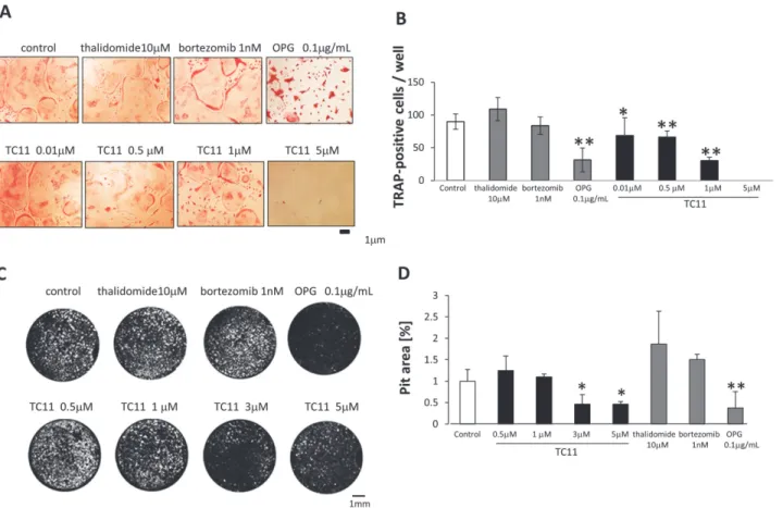 Figure 3. TC11 inhibited both the maturation and function of bone marrow-derived osteoclasts