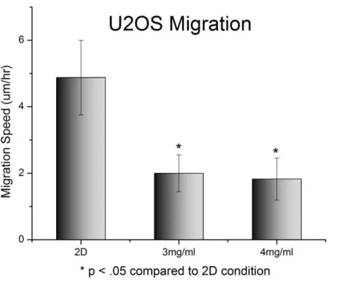 Figure 6. Migration of U2OS cells on standard 2D tissue culture plastic compared to 3D collagen gels