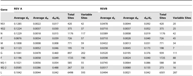 Table 2. Variation of each coding sequence in RSV A and B.