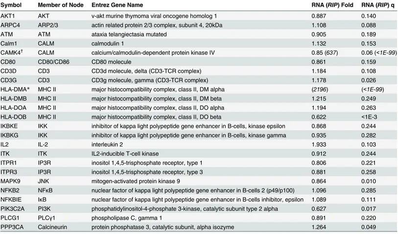 Table 6. Details of the hits of canonical pathway CD28 Signaling in T Helper Cells. Official symbols of the significant genes found via RNA-Seq (RIP-- (RIP--Seq) that are in the pathway (Fig 3) is given along with the name of its corresponding node in the 