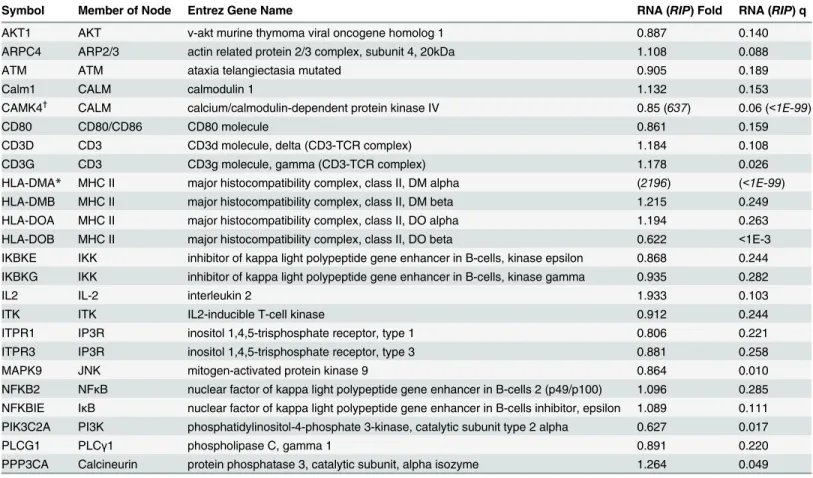 Table 6. Details of the hits of canonical pathway CD28 Signaling in T Helper Cells. Official symbols of the significant genes found via RNA-Seq (RIP-- (RIP--Seq) that are in the pathway (Fig 3) is given along with the name of its corresponding node in the 