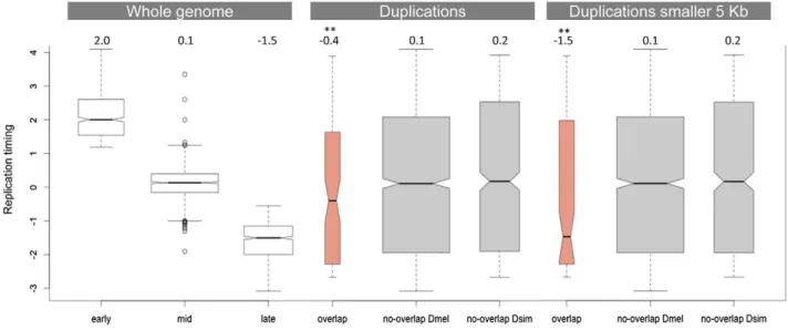 Figure 3 compares the replication timing profile of duplications that do not overlap between D