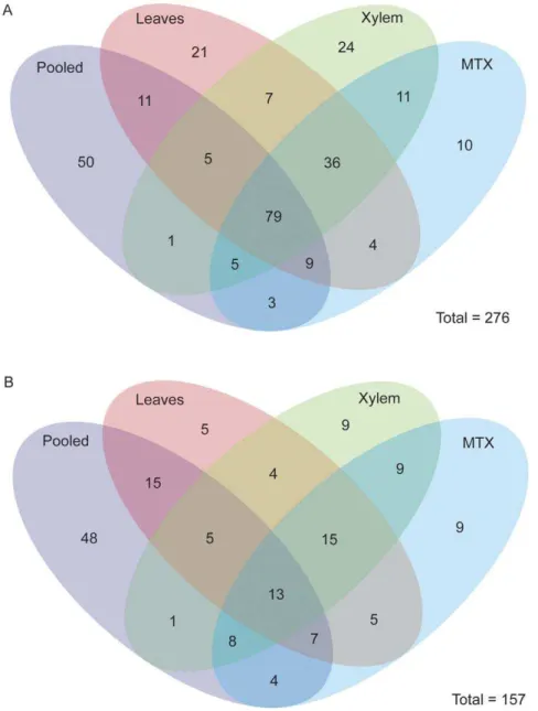 Figure 2. Venn diagram of miRNAs identified in four smallRNA sequencing runs. (A) Venn diagram of all miRNAs identified in a pooled, leaves, xylem, and mechanically treated xylem (MTX) samples