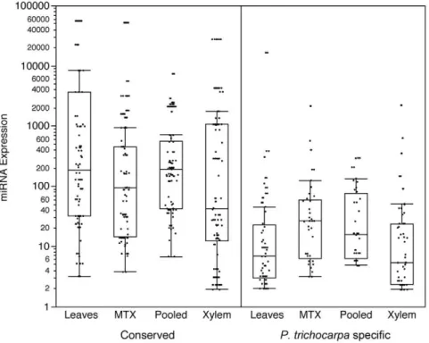 Figure 4. miRNA expression clustergram. Clustering of smallRNA sequencing runs by miRNA expression