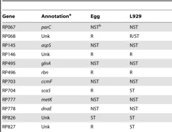 Table S1 Primer sequences used to generate RPA probes.