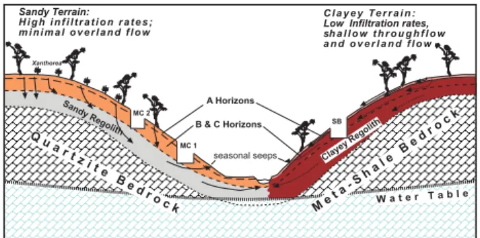 Fig. 2. Schematic cross-section of the Mackreath Creek catchment.